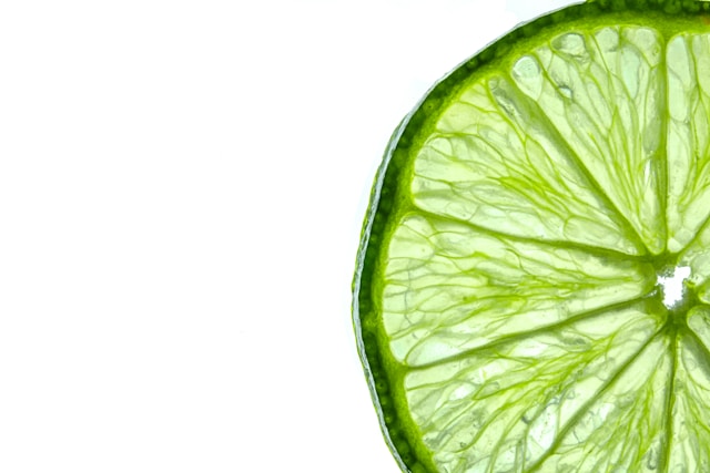 Frandolentia contacto